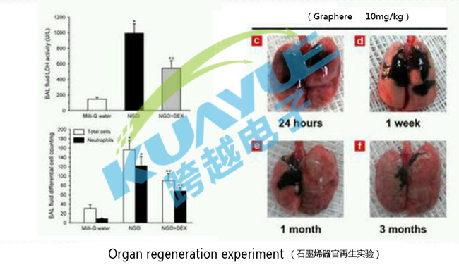 導熱石墨片